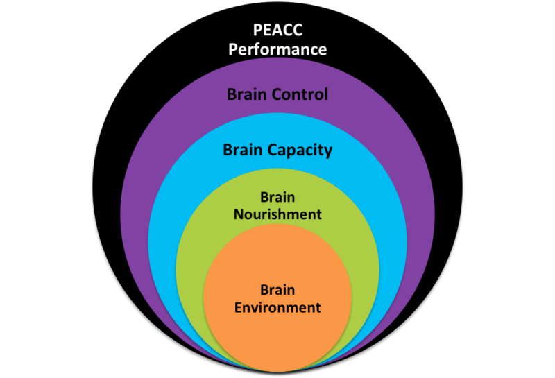Cultivating YOUR High Performance Brain