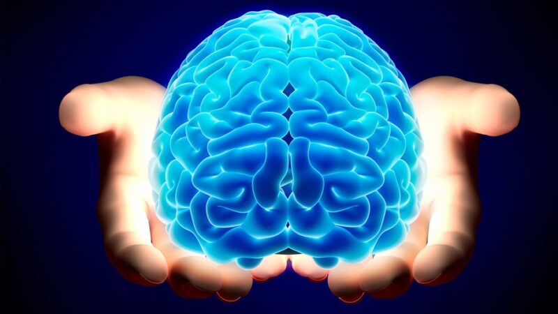 Is my Brain OK?