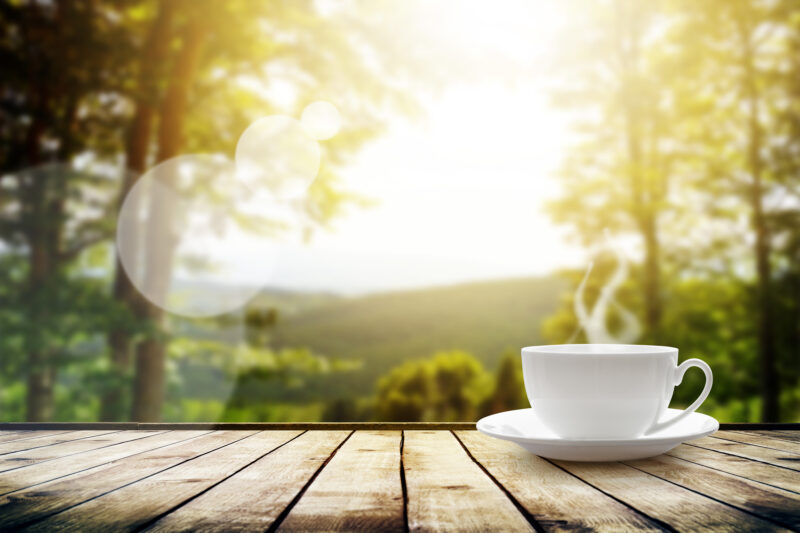 Green Tea and Dark Chocolate:  Seven Steps to Guiding your Brain for Success in 2016